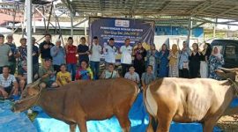Kamar Dagang dan Industri (KADIN) Provinsi Bengkulu melaksanakan pemotongan dua ekor sapi.