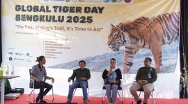 Foto : Anggota DPD RI Dapil Bengkulu, Apt. Destita Khairilisani, S.Farm., MSM., menjadi narasumber dalam peringatan Global Tiger Day Bengkulu 2025 yang digelar di Tempua
