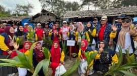 Foto : Penanaman Kelapa di Pantai