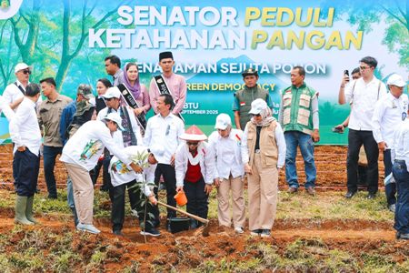 Foto : Prosesi penanam jagung.