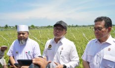 Kunjungi Bengkulu, Menko Pangan Serukan Cinta Petani Lokal