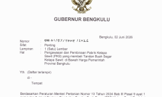 Soal Harga Sawit, Pemprov Bengkulu Keluarkan Dua Surat Tegas