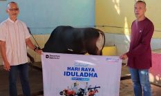 Momen Idul Adha, PTP Nonpetikemas Tebar Kurban untuk Masyarakat